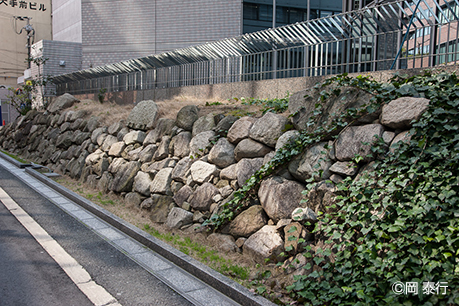 大阪城北辺に保存された豊臣時代の石垣