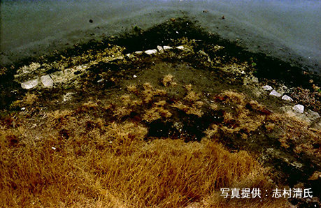 写真1．発掘前の石列の露出状況（志村清氏提供）