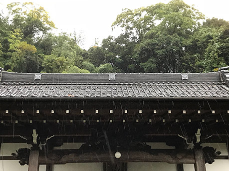 写真２．兵庫県城崎、本住寺本堂