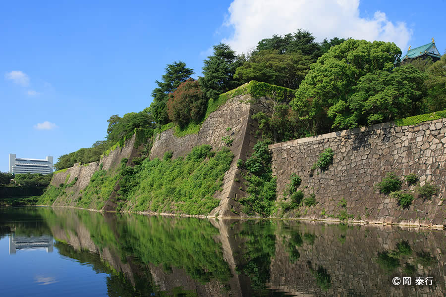 写真２．日本一の高さを誇る本丸東面石垣